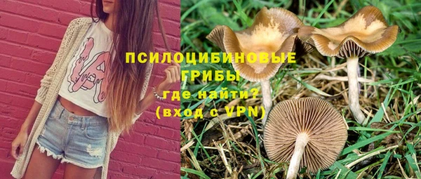 индика Волоколамск