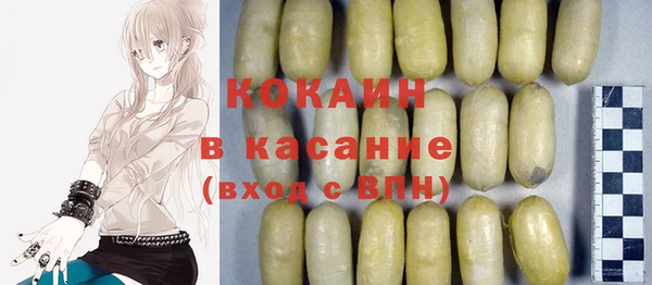 индика Волоколамск