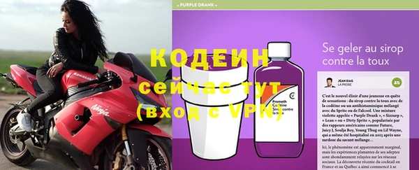 индика Волоколамск