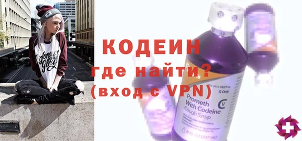 индика Волоколамск