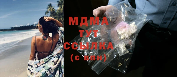 индика Волоколамск