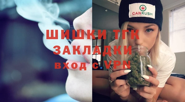 индика Волоколамск