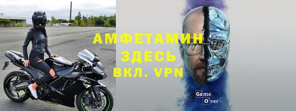 индика Волоколамск