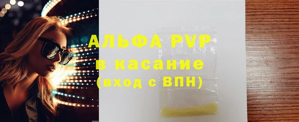индика Волоколамск