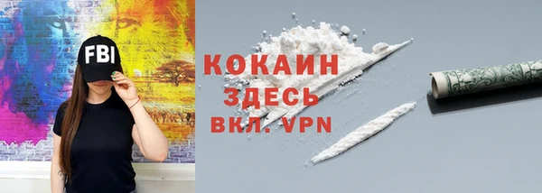 индика Волоколамск