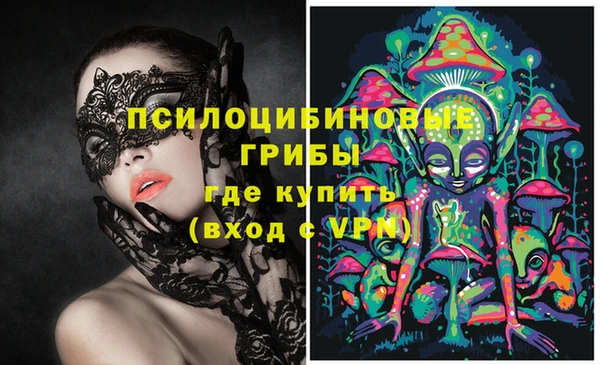 индика Волоколамск