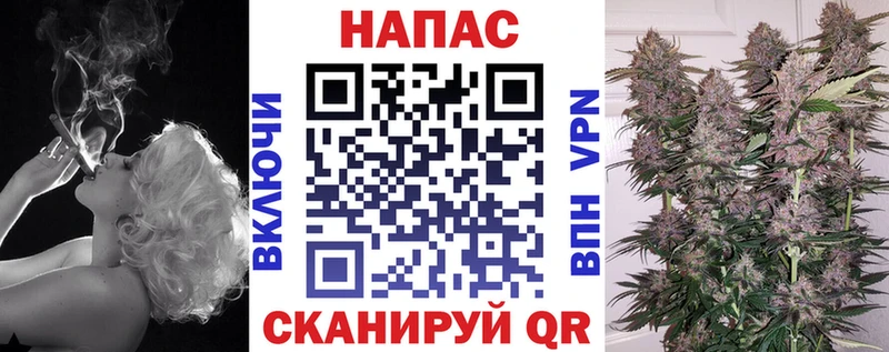 Бошки марихуана Amnesia  Купить закладки  Волгореченск 